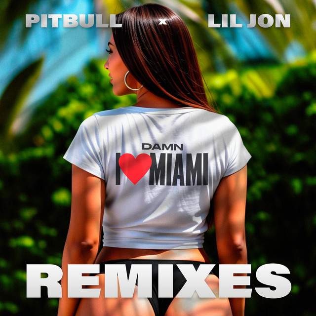 Damn I Love Miami (Remixes) • Cały album • Wszystkie utwory • Wykonawca