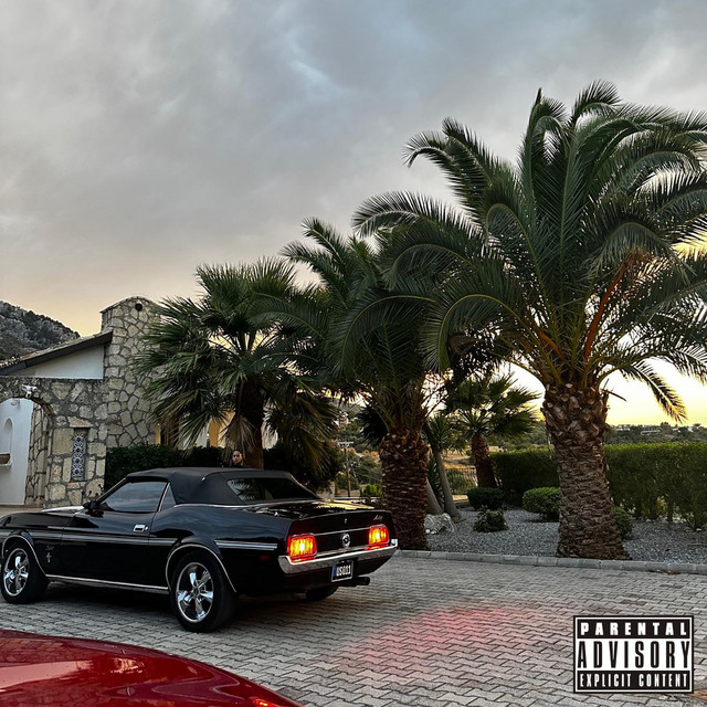 MONEY AND VIBES • Cały album • Wszystkie utwory • Wykonawca