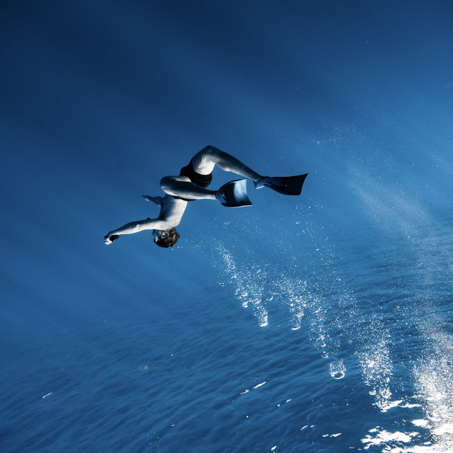 belong to one • Cały album • Wszystkie utwory • Wykonawca