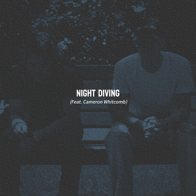 Night Diving (feat. Cameron Whitcomb) • Cały album • Wszystkie utwory • Wykonawca