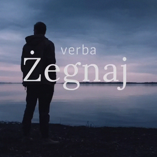 Żegnaj • Cały album • Wszystkie utwory • Wykonawca