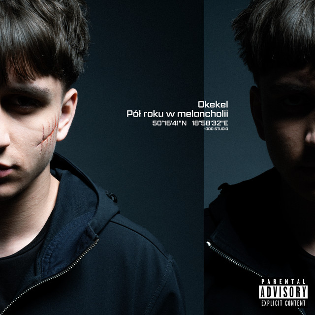 Pół roku w melancholii • Cały album • Wszystkie utwory • Wykonawca