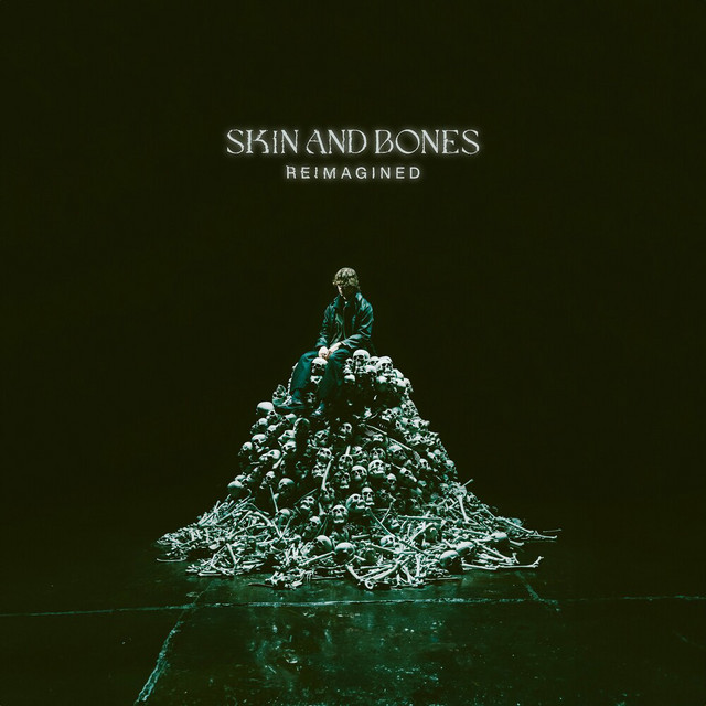 Skin and Bones • Cały album • Wszystkie utwory • Wykonawca