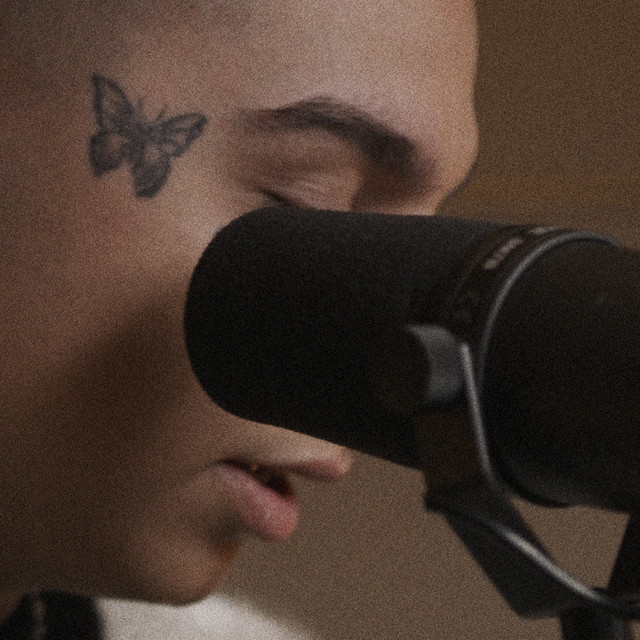 Fiołkowe Pole (Łysy Live Session) • Cały album • Wszystkie utwory • Wykonawca