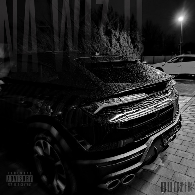 NA WIZJI • Cały album • Wszystkie utwory • Wykonawca