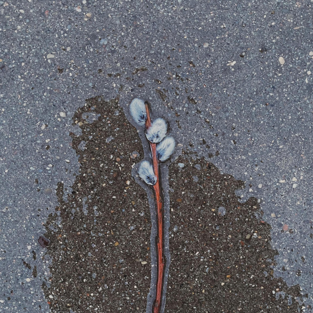 Rzucasz słowa na wiatr • Cały album • Wszystkie utwory • Wykonawca