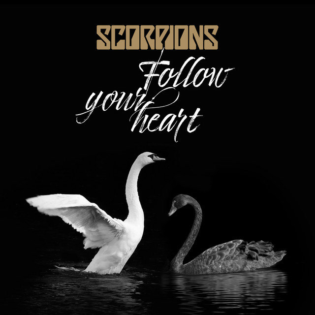 Follow Your Heart • Cały album • Wszystkie utwory • Wykonawca