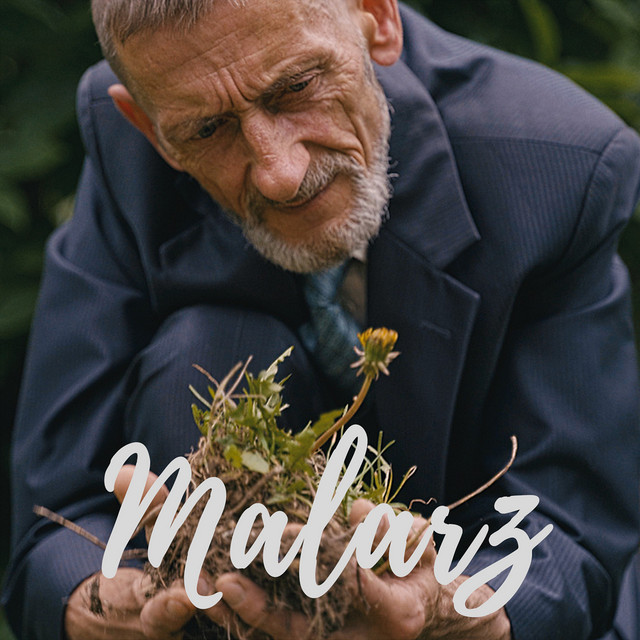 Malarz • Cały album • Wszystkie utwory • Wykonawca