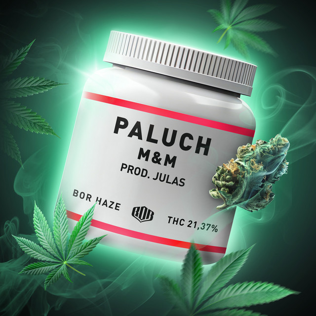 M&M • Cały album • Wszystkie utwory • Wykonawca