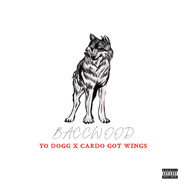 Baccwood • Cały album • Wszystkie utwory • Wykonawca