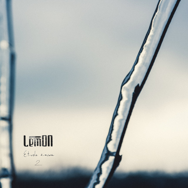 Etiuda Zimowa 2 • Cały album • Wszystkie utwory • Wykonawca