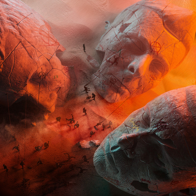 Compliance • Cały album • Wszystkie utwory • Wykonawca