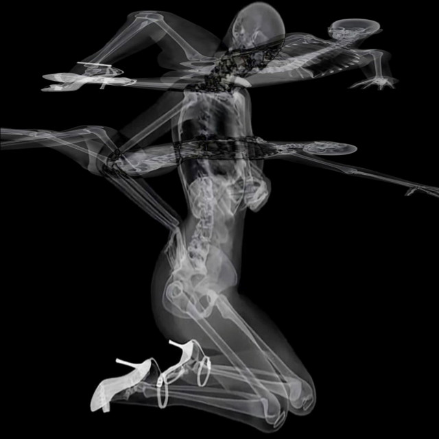 codziennie • Cały album • Wszystkie utwory • Wykonawca