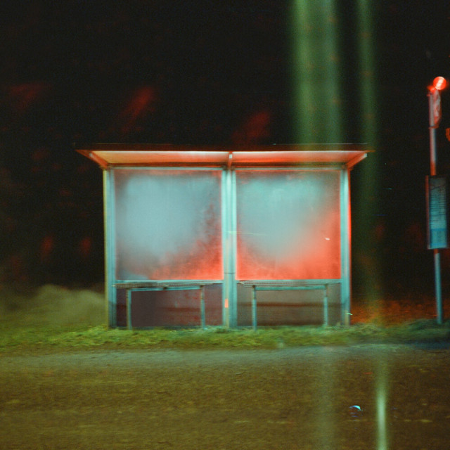 The Last Man on Earth (Lullaby Version) • Cały album • Wszystkie utwory • Wykonawca