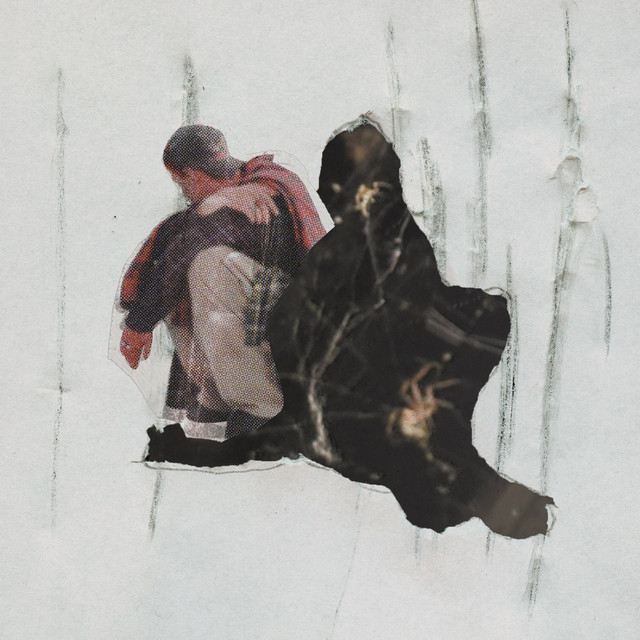 Arachnophobia • Cały album • Wszystkie utwory • Wykonawca