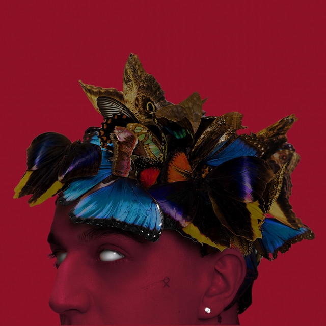 PUŁAPKA NA MOTYLE • Cały album • Wszystkie utwory • Wykonawca