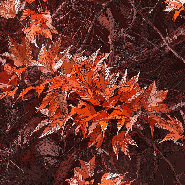 Co tam jak się masz (Wersja alternatywna) • Cały album • Wszystkie utwory • Wykonawca