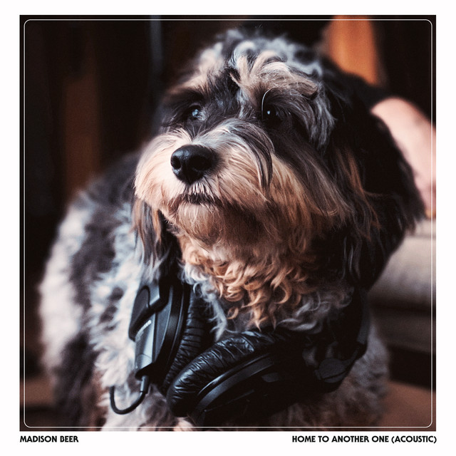 Home To Another One (Acoustic) • Cały album • Wszystkie utwory • Wykonawca