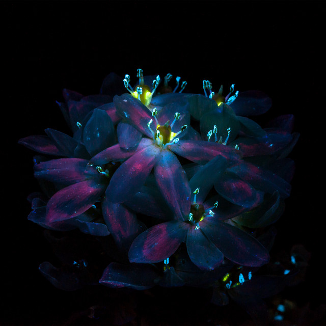 fields of forever (sleep rework) • Cały album • Wszystkie utwory • Wykonawca