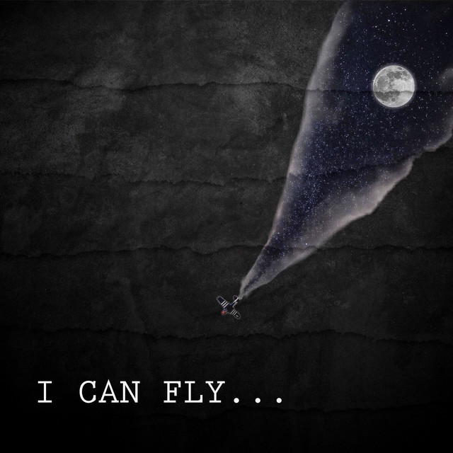I Can Fly • Cały album • Wszystkie utwory • Wykonawca