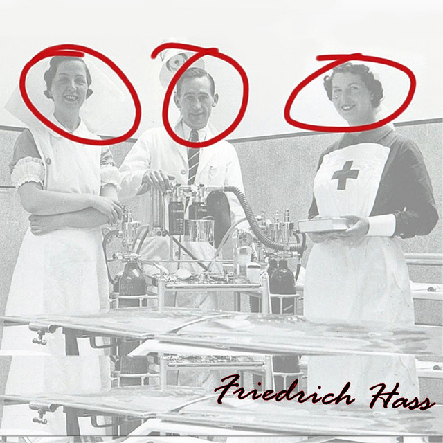 FRIEDRICH HASS (2012) • Cały album • Wszystkie utwory • Wykonawca