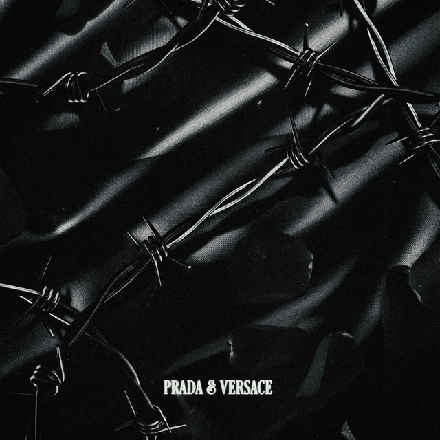 PRADA & VERSACE • Cały album • Wszystkie utwory • Wykonawca