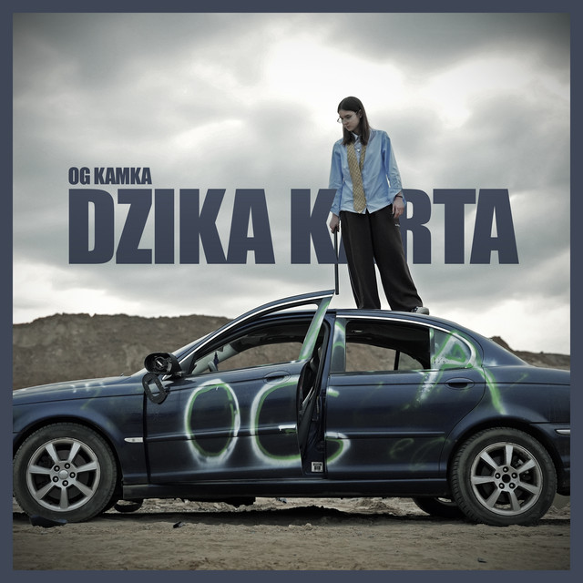 DZIKA KARTA • Cały album • Wszystkie utwory • Wykonawca