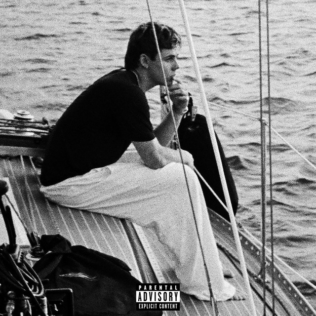 HOT GIRL PROBLEMS • Cały album • Wszystkie utwory • Wykonawca