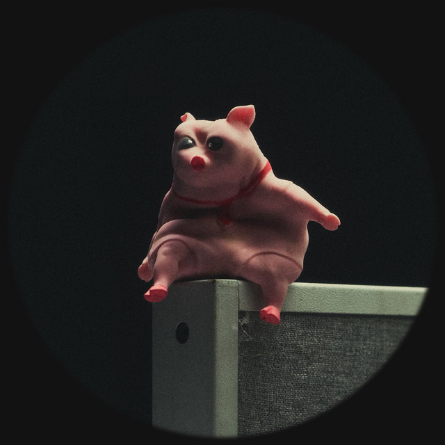 koto freestyle • Cały album • Wszystkie utwory • Wykonawca