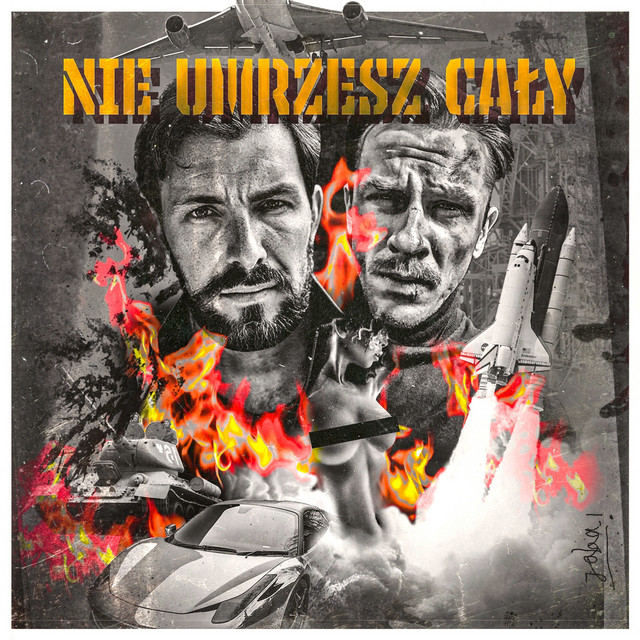 CAŁY • Cały album • Wszystkie utwory • Wykonawca