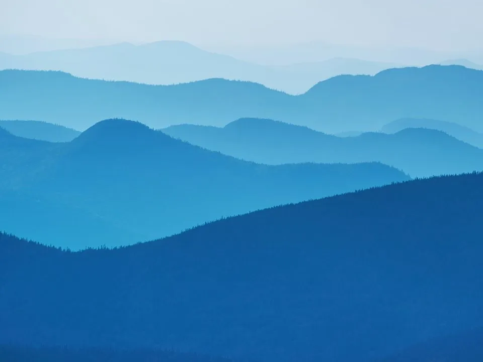 Ile kosztuje obiad w hotelu Gołębiewskim? Ceny, które zaskoczą!