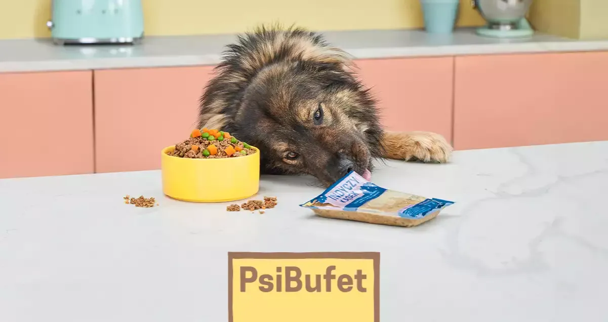 Czy pies może jeść fasolę? Bezpieczne rodzaje i ryzyko dla zdrowia