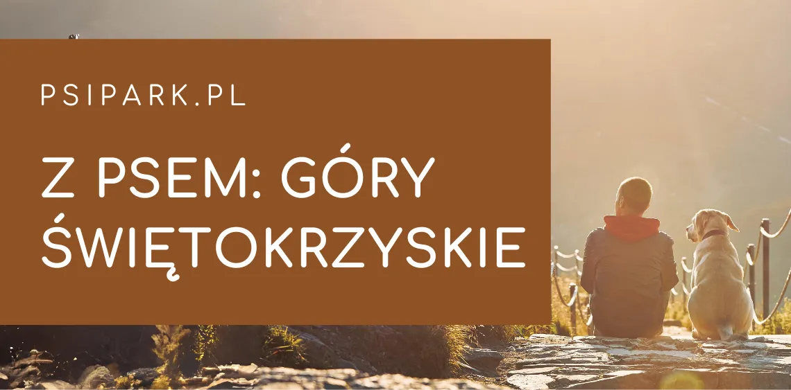 Gdzie z psem w Świętokrzyskim? Najlepsze trasy i miejsca dla psów