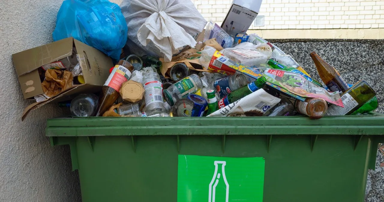 Jakie kary za niesegregowanie śmieci? Sprawdź, co grozi za brak segregacji