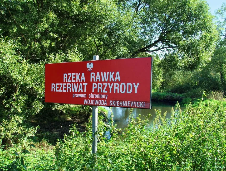 Rezerwaty Przyrody W Pasie Pojezierzy Najpiękniejsze rezerwaty przyrody w Polsce przykłady i ich wyjątkowe walory