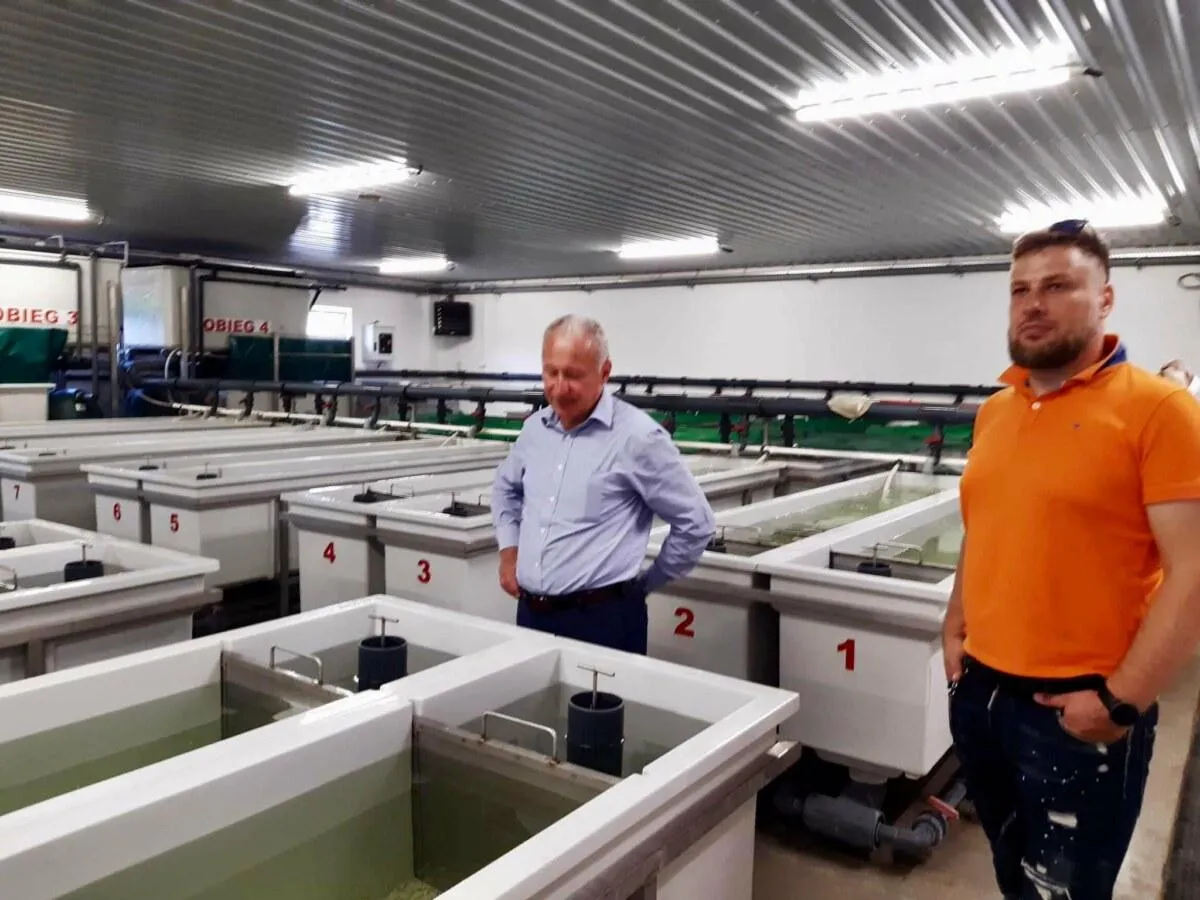 Pellet mem: innowacyjne rozwiązanie dla zdrowia ryb i akwakultury