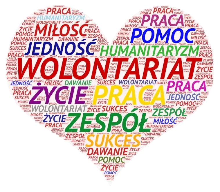 7 najważniejszych cech wolontariusza - jakie są i jak je rozwinąć?