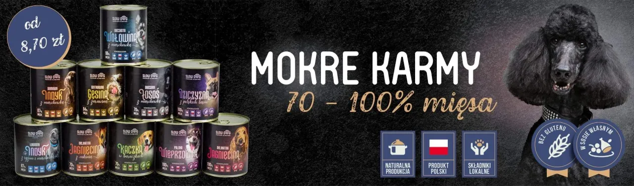 Karma dla kotów z belgijskich manufaktur: najwyższa jakość dla Twojego pupila