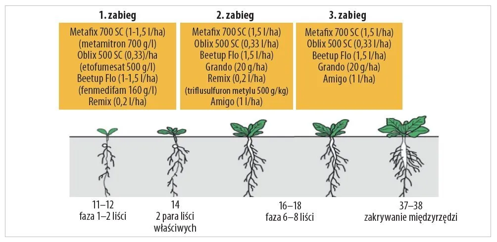 Jak skutecznie zwalczyć burczenie w brzuchu? Praktyczne porady.