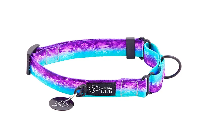 Obroża martingale dla kogo: idealne rozwiązanie dla psów z problemami