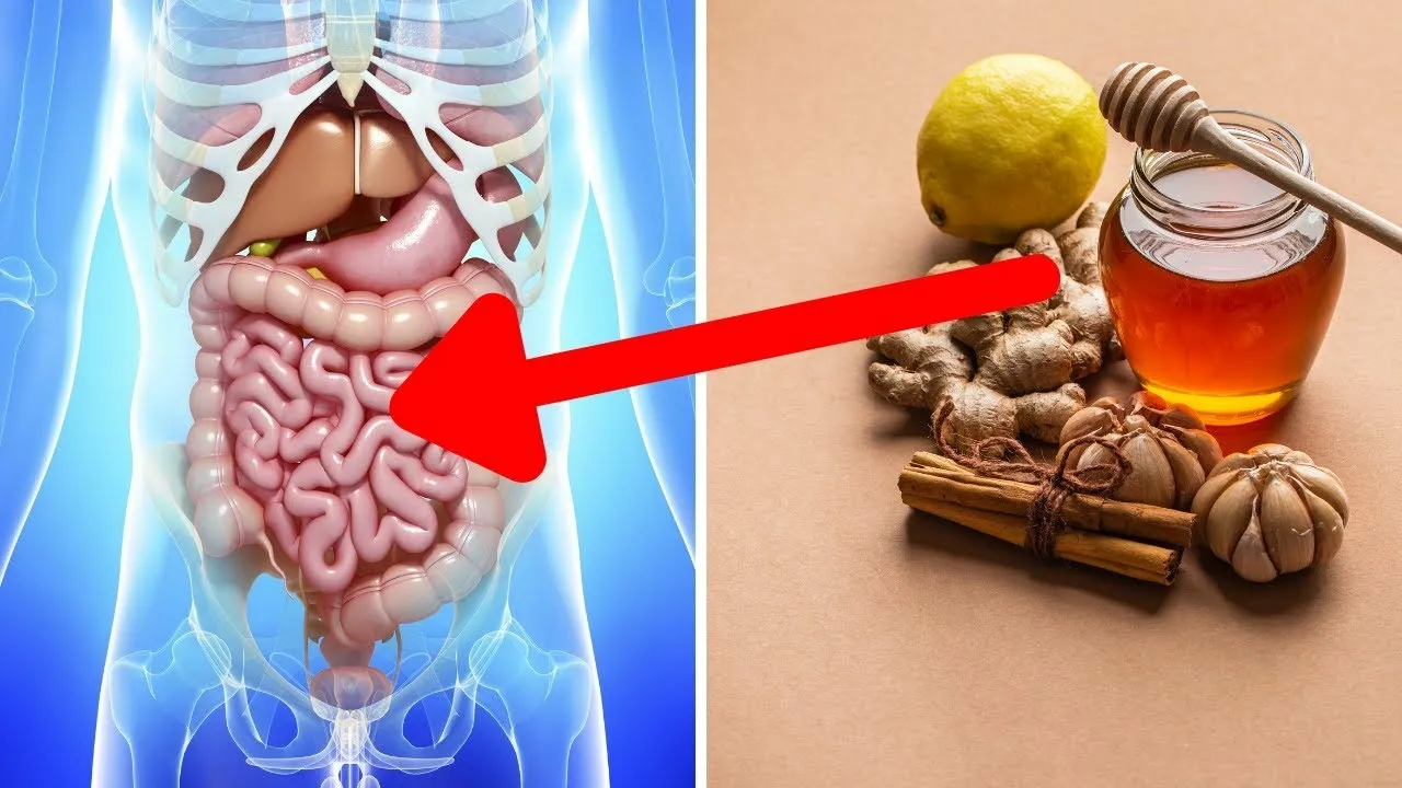 Skuteczne domowe sposoby na jelita, które poprawią Twoje samopoczucie