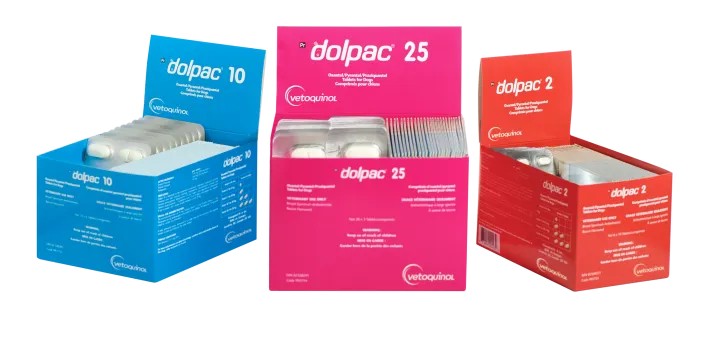 Aktualne ceny Dolpac 25: poznaj realne koszty odrobaczania psów