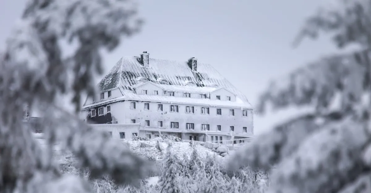 Dlaczego warto zatrzymać się w schronisku Kamieńczyk? Odkryjmy!