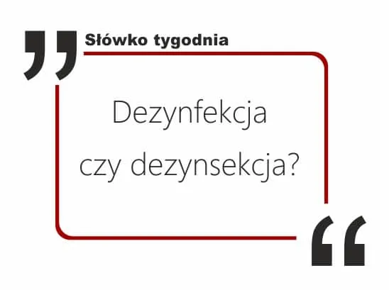 Dezynfekcja czy dezynfekcja: co musisz wiedzieć o skuteczności?