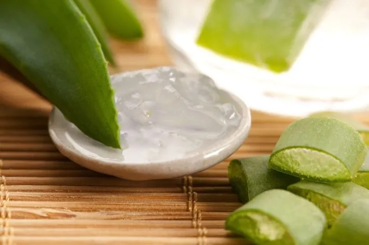 Jak stosować aloes na dziąsła – skuteczne sposoby na ból i stany zapalne