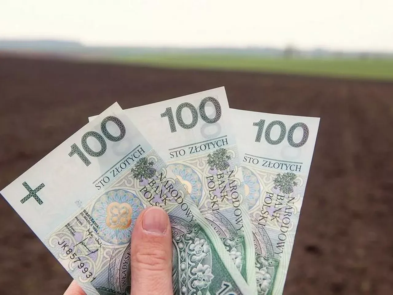 Fundusz ochrony rolnictwa – kto naprawdę płaci i jak to działa?