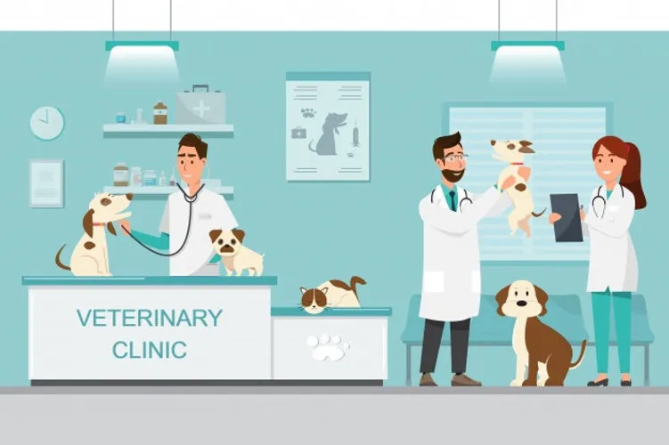 Jak zwracać się do weterynarza - unikaj błędów w komunikacji