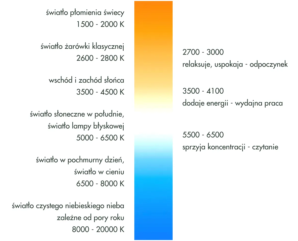 Jaka barwa światła do nauki jest najlepsza - poznaj kluczowe parametry