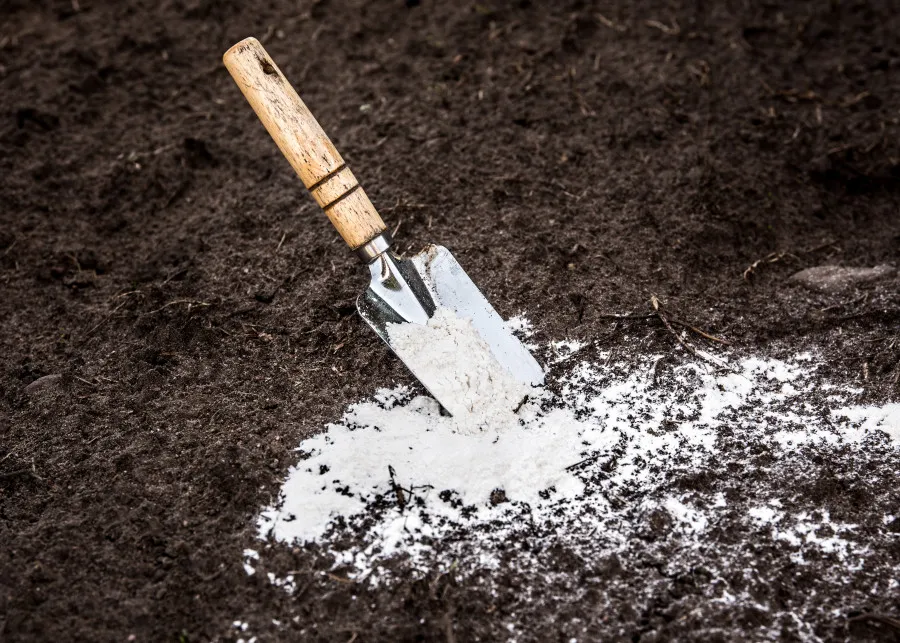 Jak stosować dolomit w ogrodzie: 8 kluczowych wskazówek