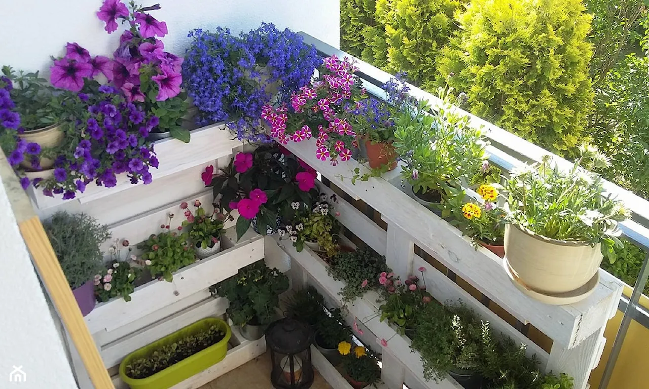 Jakie kwiaty do kwietnika z palet? Oto rośliny, które zachwycą!